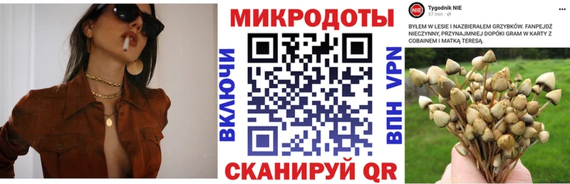 купить  цена  нарко площадка телеграм  Псилоцибиновые грибы Psilocybe  Лосино-Петровский 